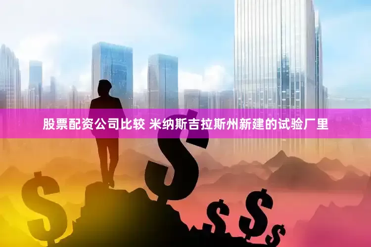 股票配资公司比较 米纳斯吉拉斯州新建的试验厂里