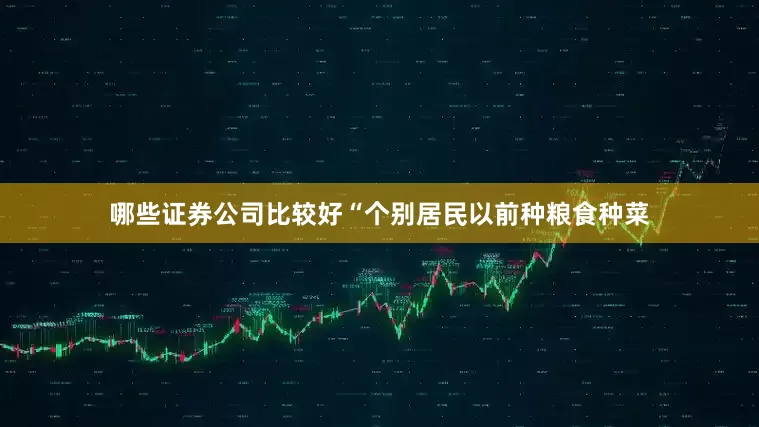 哪些证券公司比较好“个别居民以前种粮食种菜