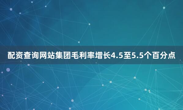配资查询网站集团毛利率增长4.5至5.5个百分点